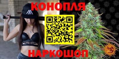эйфоретик Кимры