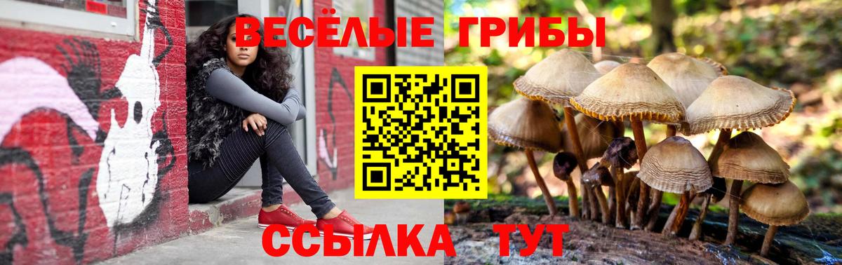 Котлас  Галлюциногенные грибы MAGIC MUSHROOMS  купить наркоту  Вход с VPN  Псилоцибиновые грибы мицелий 